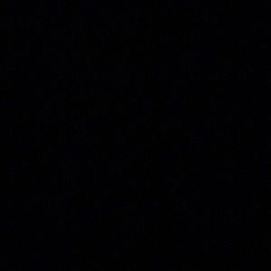 Meet your Posher, Brynn